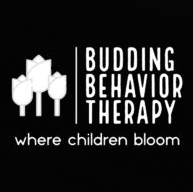https://hi5aba.com/wp-content/uploads/2024/03/budding.png